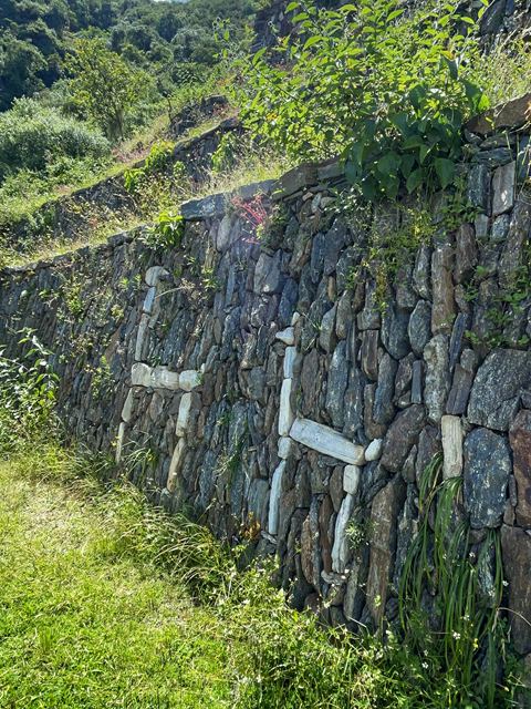 TREKKING A CHOQUEQUIRAO
