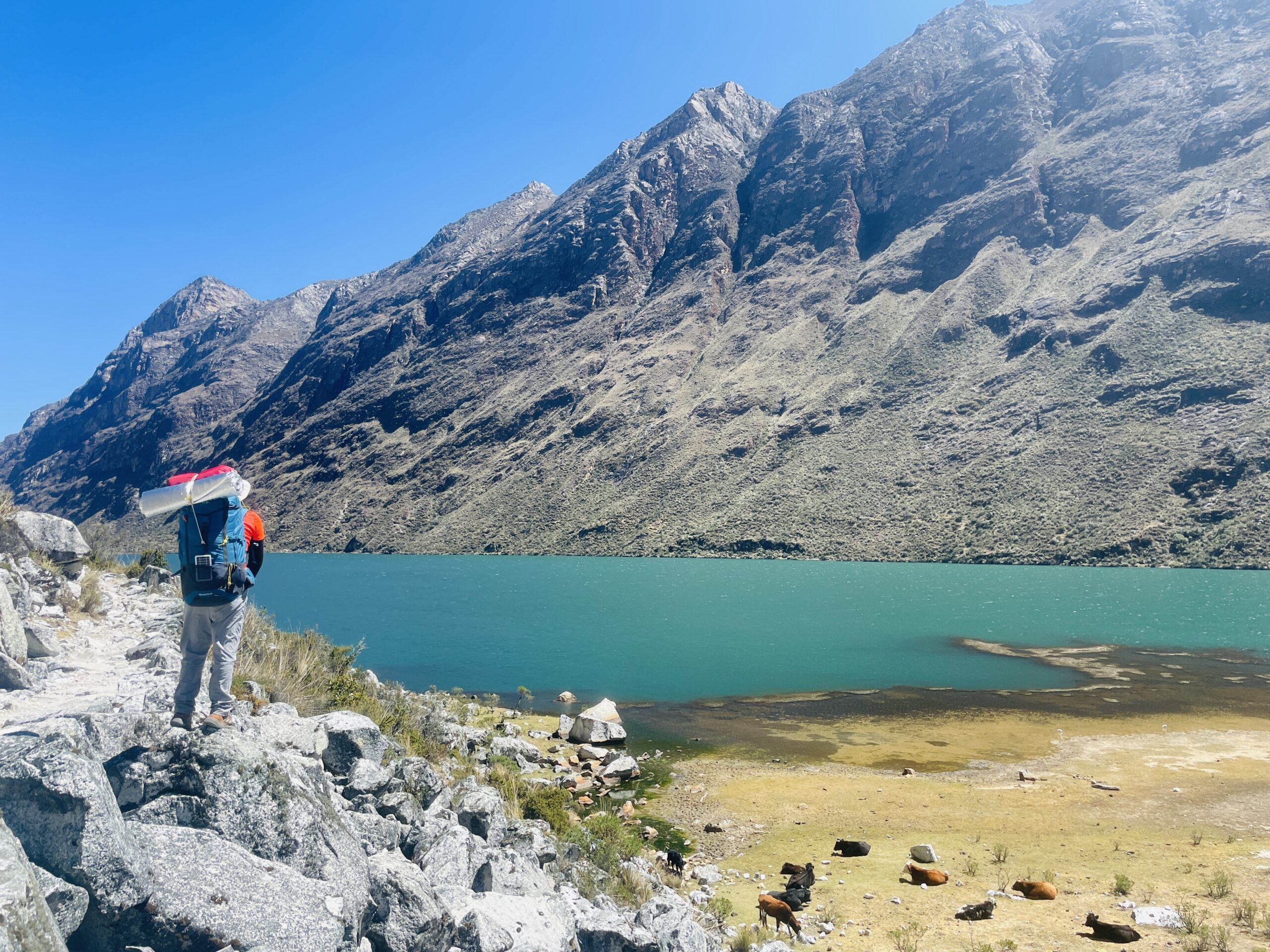 Trekking Santa Cruz